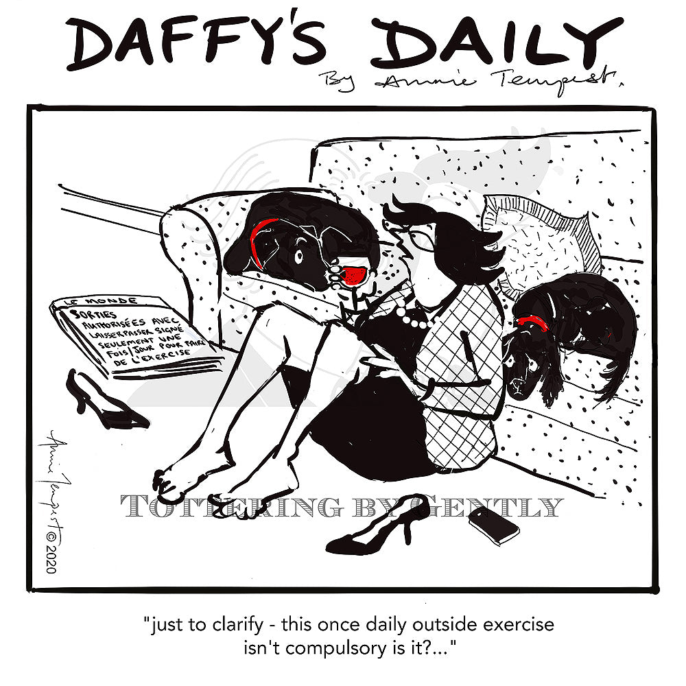 Daffy's Daily - Just to clarify (DD28)