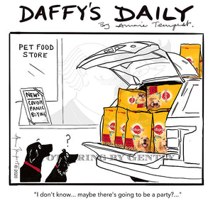 Daffy's Daily - Maybe a party?? (DD04)