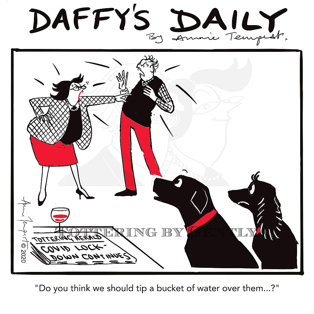 Daffy's Daily - Tip bucket of water over them (DD25)